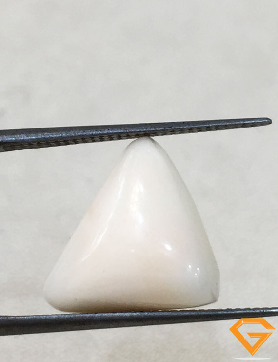 5.90 ratti/5.30 ct Natural Certified  White Coral/सफ़ेद मूंगा